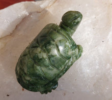 Laden Sie das Bild in den Galerie-Viewer, Schildkröte aus Jade 2