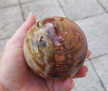 Laden Sie das Bild in den Galerie-Viewer, Steinkugel Versteinertes Holz 2