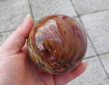 Laden Sie das Bild in den Galerie-Viewer, Steinkugel Versteinertes Holz 2