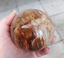 Laden Sie das Bild in den Galerie-Viewer, Steinkugel Versteinertes Holz 2
